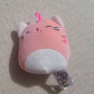 Pink Cat Clip on Squishmallow